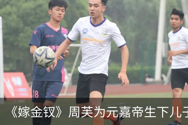 《嫁金钗》周芙为元嘉帝生下儿子，就是这位皇子，日后继承帝位