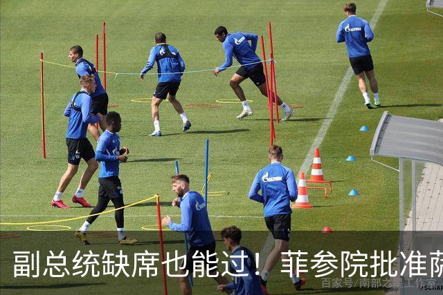 副总统缺席也能过！菲参院批准萨拉 7.852 亿预算：全是政坛面子