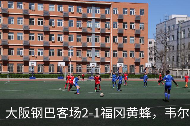 大阪钢巴客场2-1福冈黄蜂，韦尔顿、宇佐美贵史破门